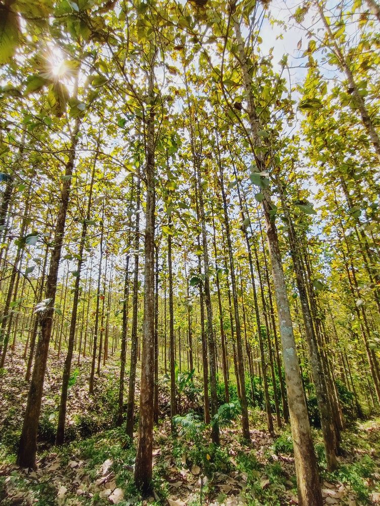 Photograph by Meilany Wijaya