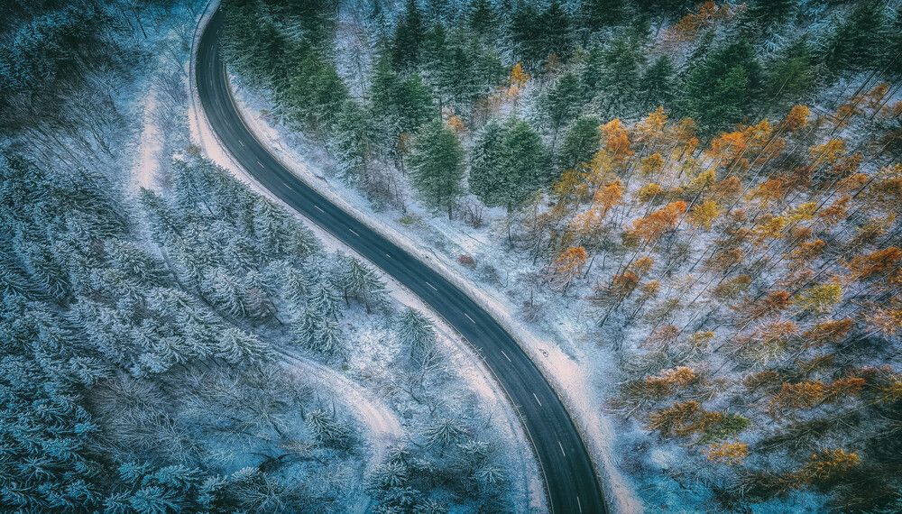 Photograph by Guy Krier