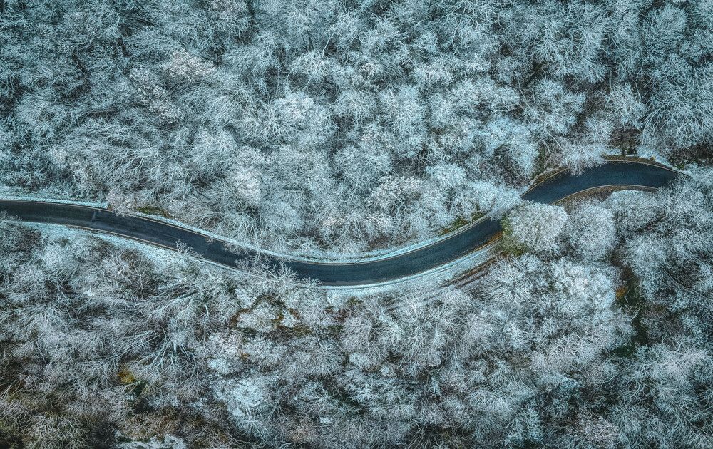 Photograph by Guy Krier