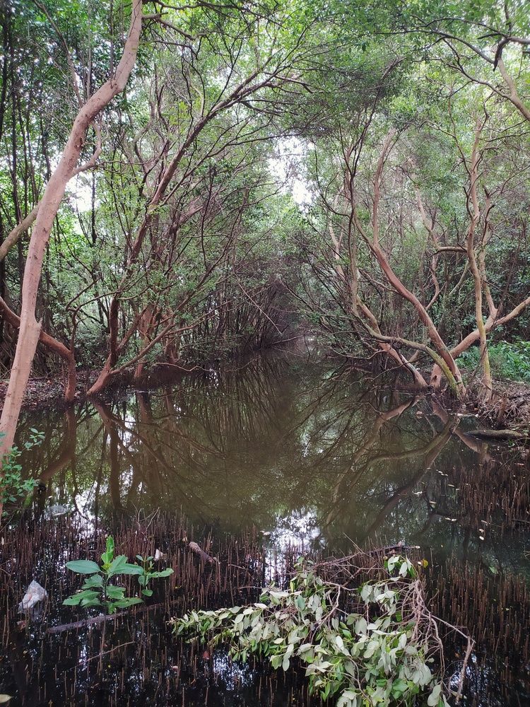 Photograph by Meilany Wijaya