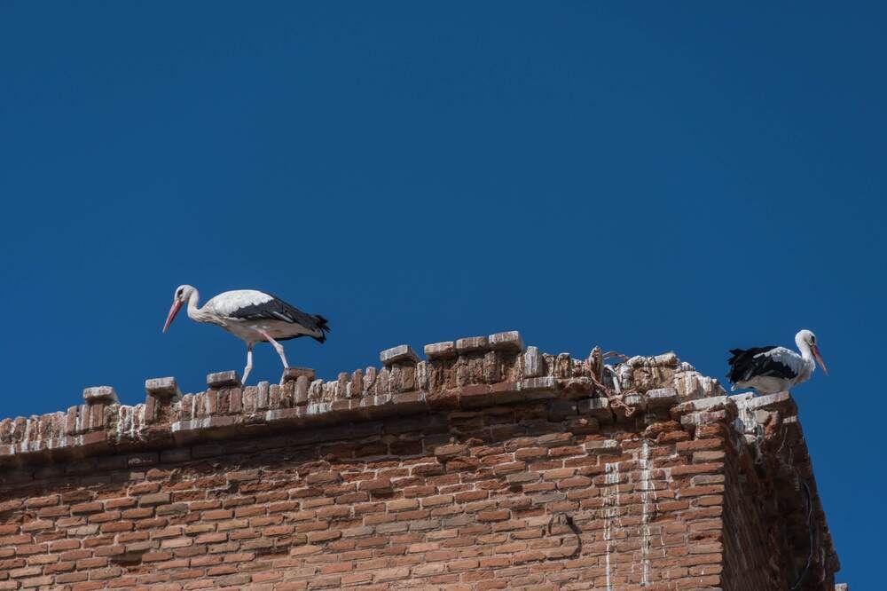 Photograph by Татьяна