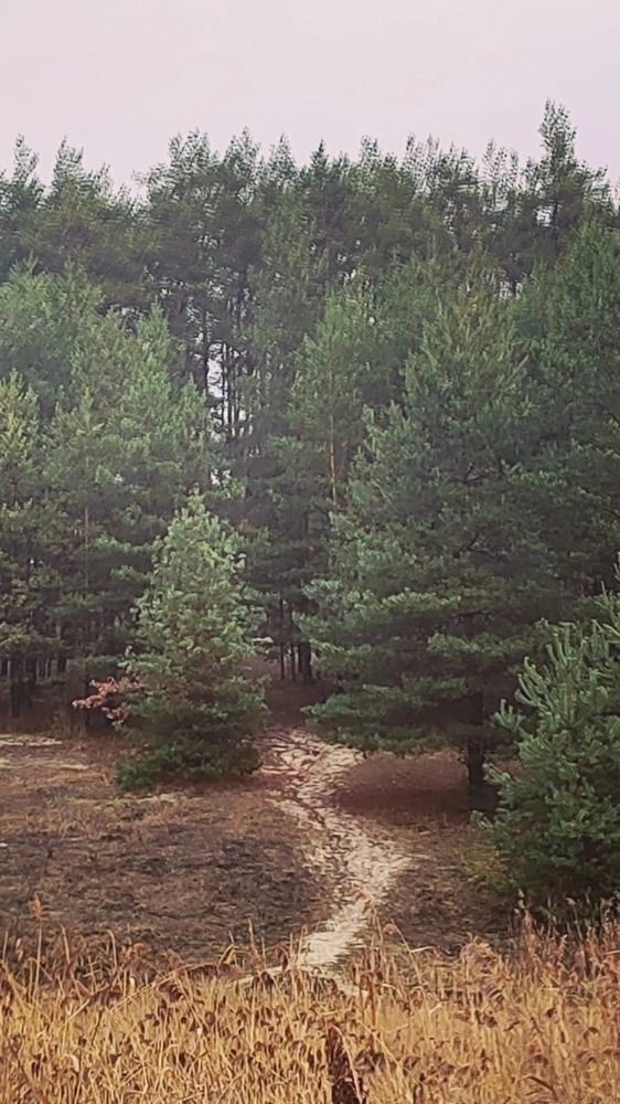 Photograph by Куделенко Оксана