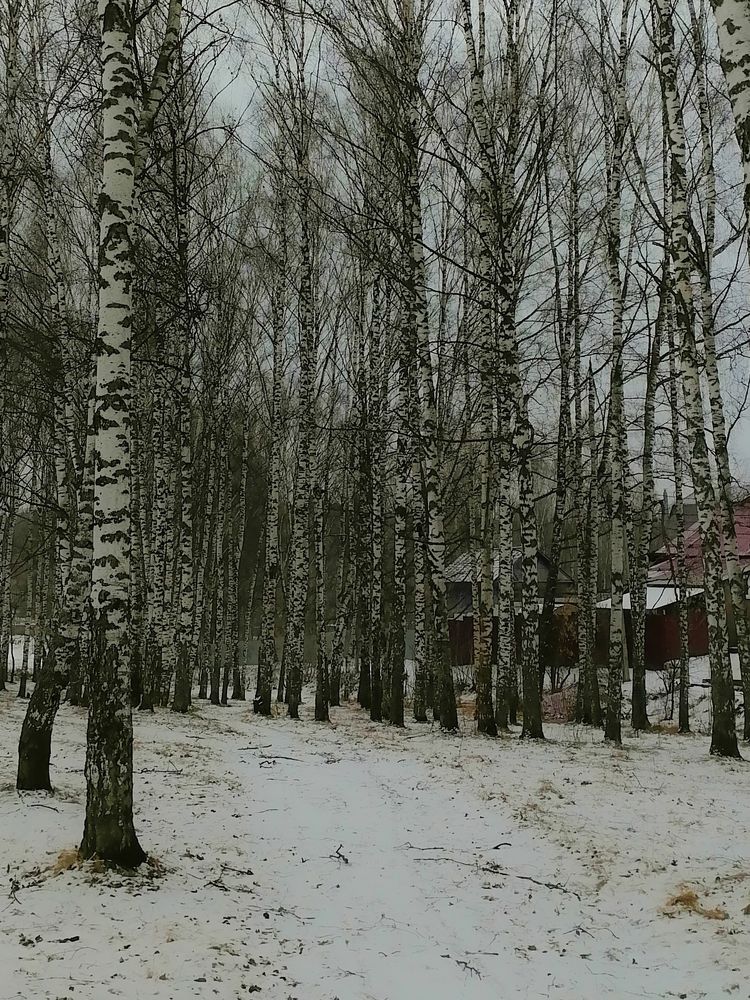 Photograph by Ксения Мельникова