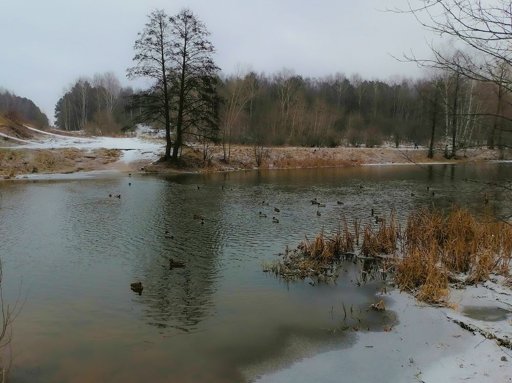 Photograph by Ксения Мельникова