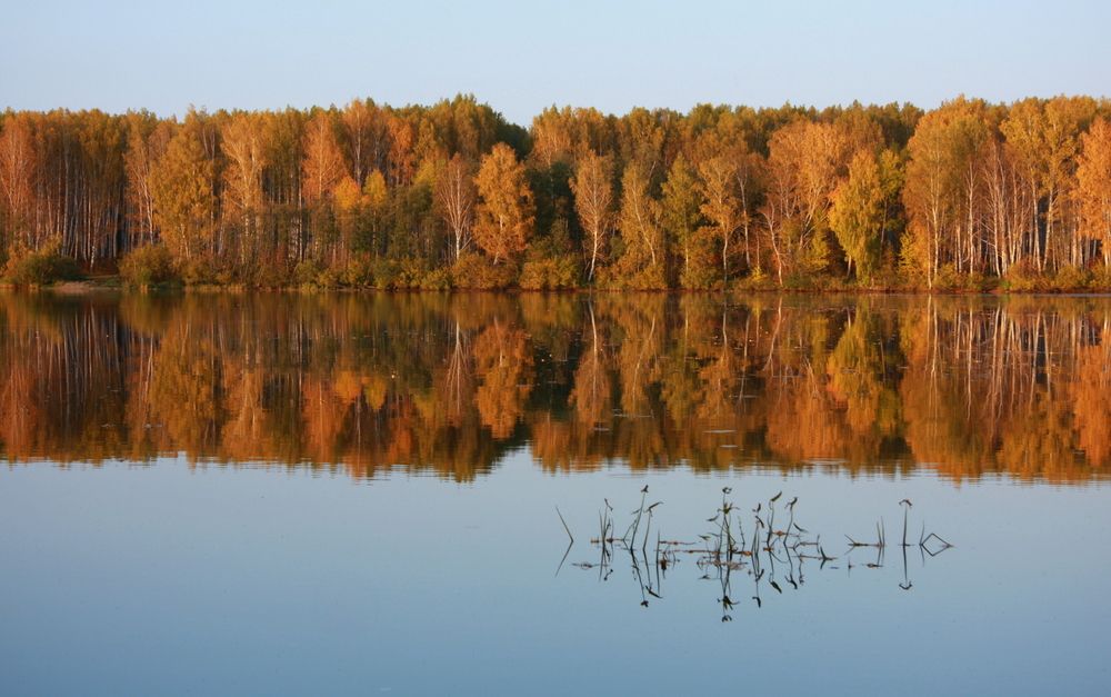 Фотография автора Nelya  Lysenko