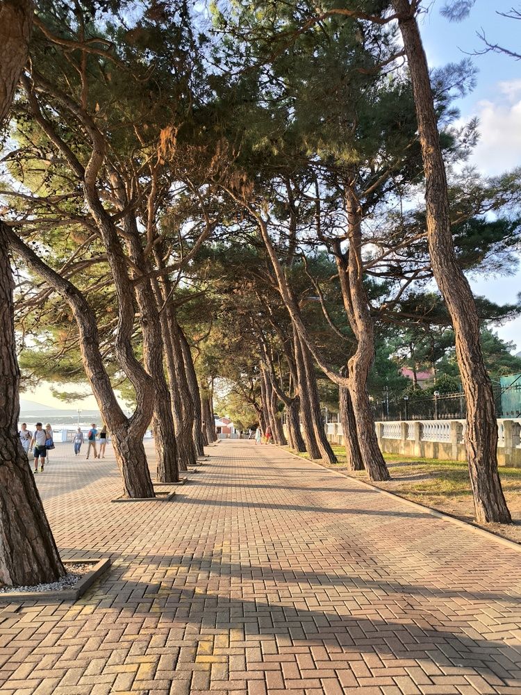 Фотография автора Юлия Лубкина