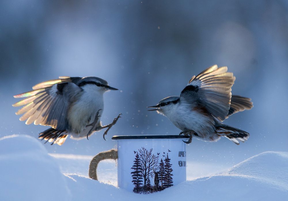 Фотография автора Viktoriya Kim