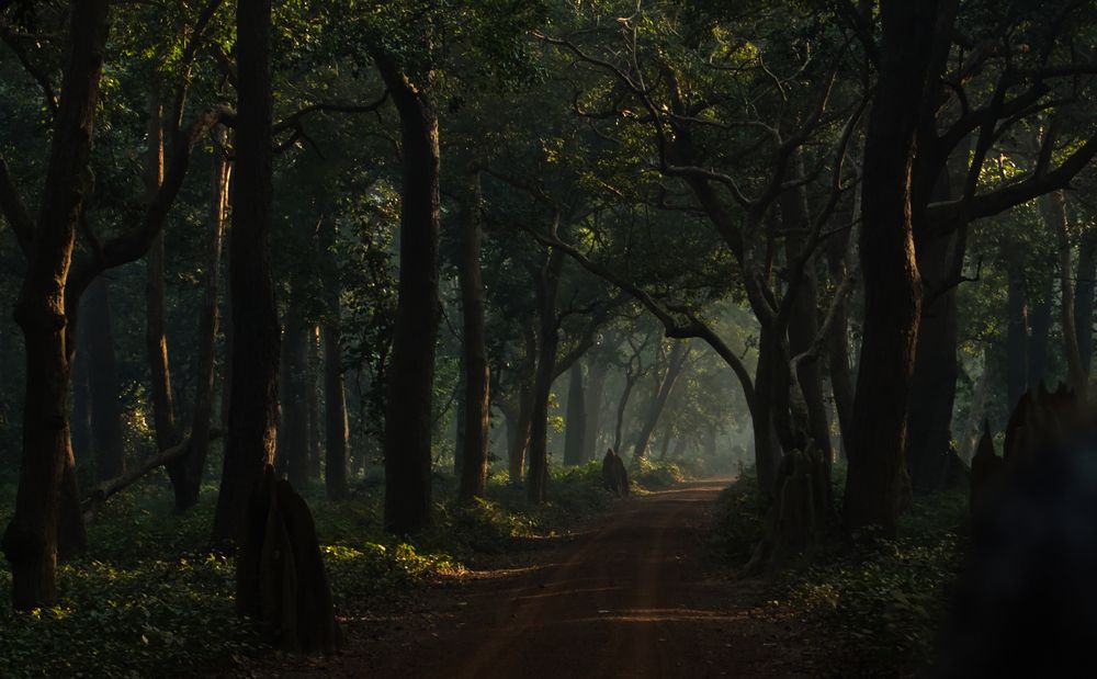 Photograph by Vikas Chauhan