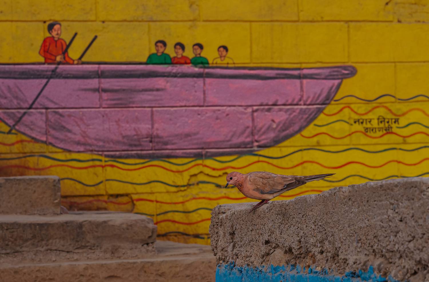 Symmetry between urban and nature Symmetry between urban and nature