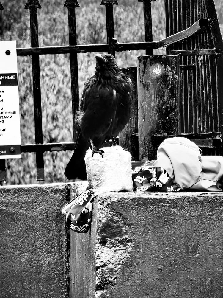 Photograph by Алексей Швайка