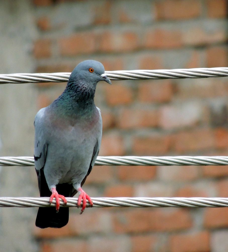 Photograph by Vikas Chauhan