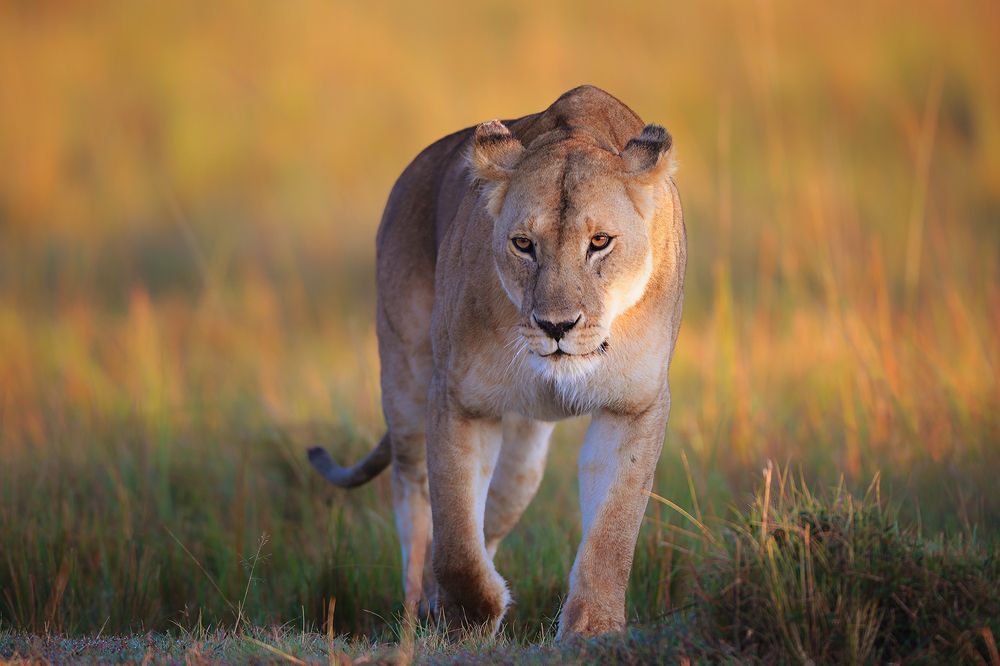 Photograph by Ирина Худзинская