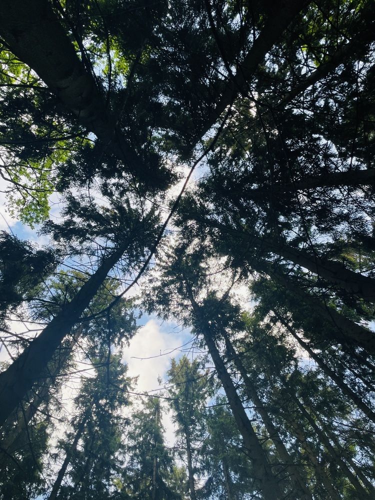 Photograph by Osazemen Godswill Osayogie