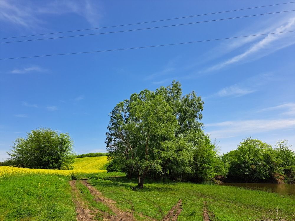 Photograph by Anna Volodina