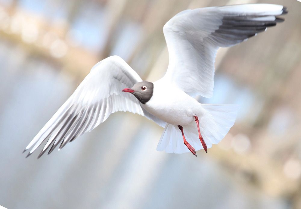 Photograph by Vladimir Freedom