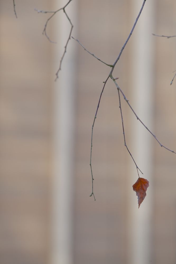 Photograph by Ilva Buntika