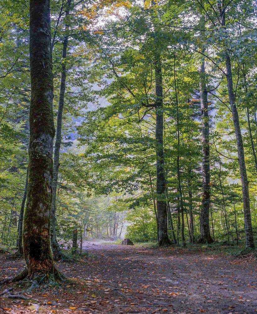 Photograph by Евгений Киселев