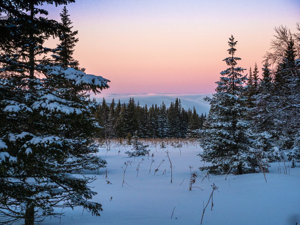 Photograph by Михаил