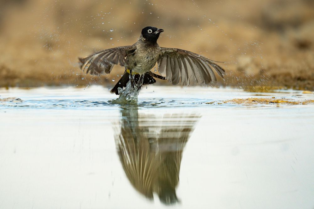 Photograph by Dagmara Giller