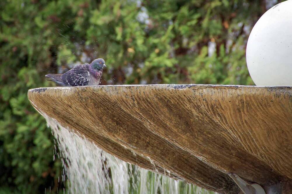 Photograph by Евгений Киселев