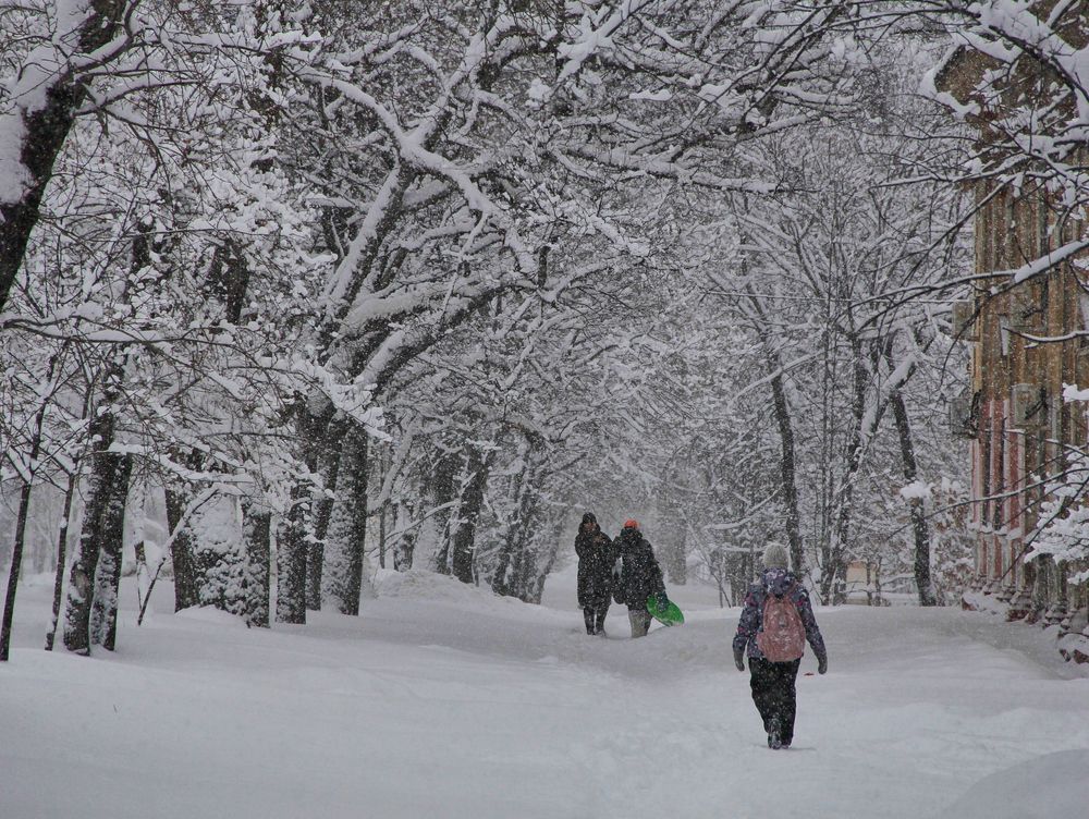 Фотография автора Наталия Мащенко