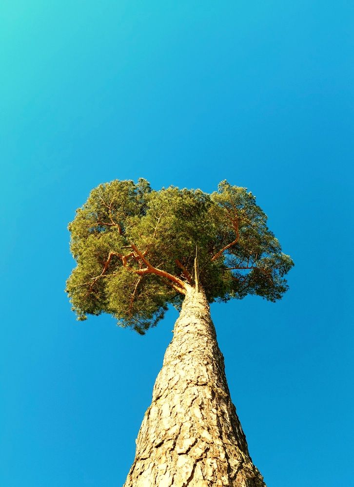 Фотография автора Виталий Петров