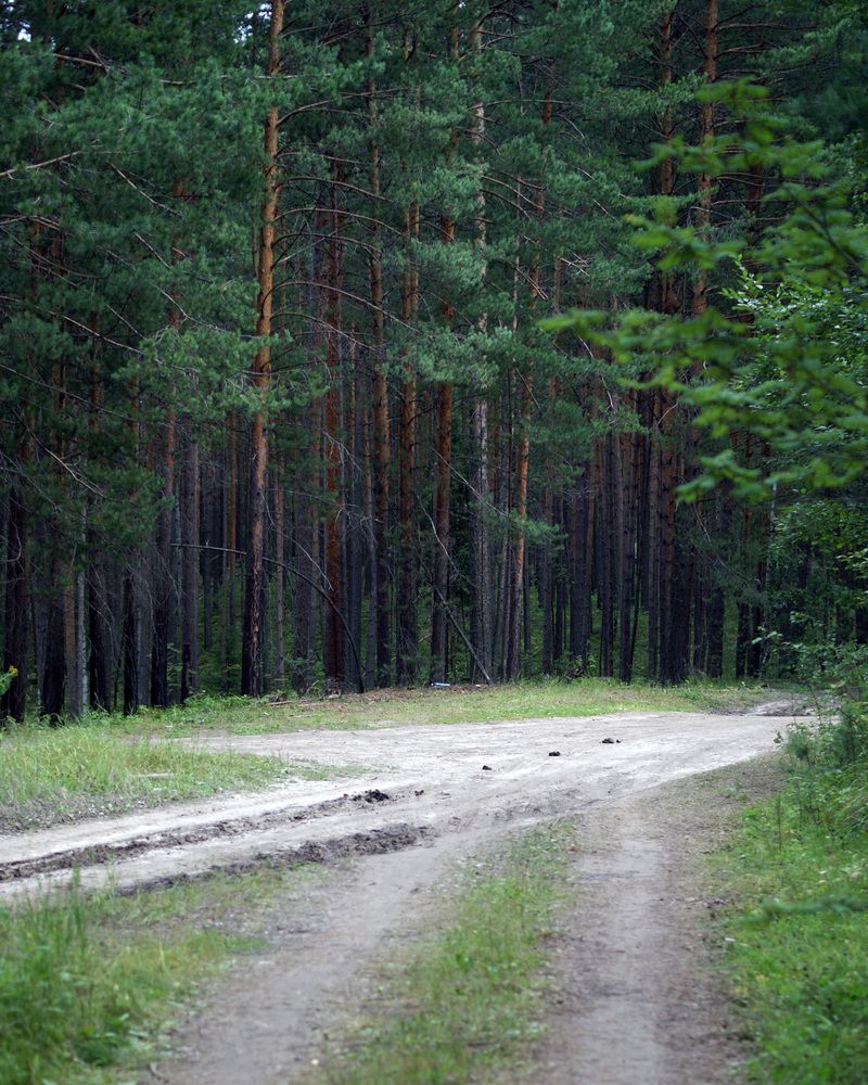 Photograph by Дмитрий Лобанов