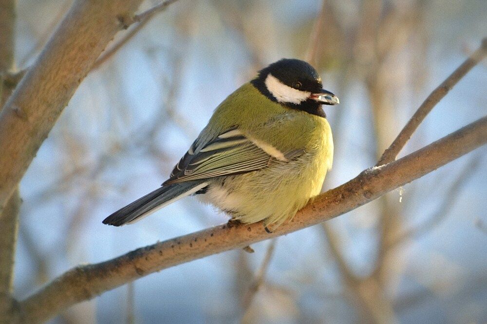 Photograph by Соколова Елена