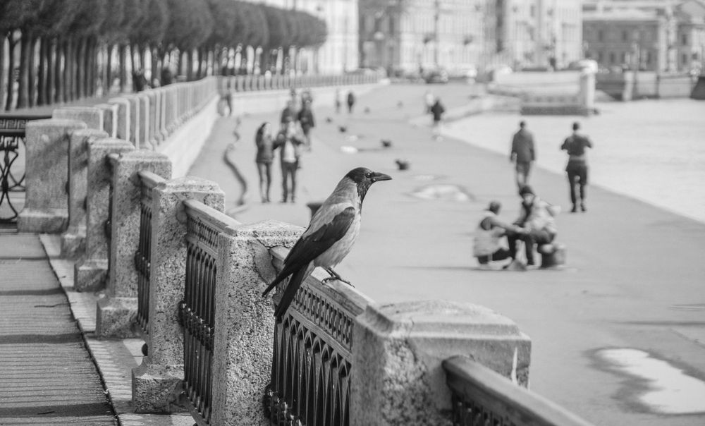 Фотография автора Олег Анатольевич Загорулько