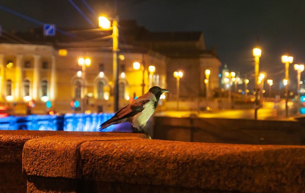 Фотография автора Олег Анатольевич Загорулько