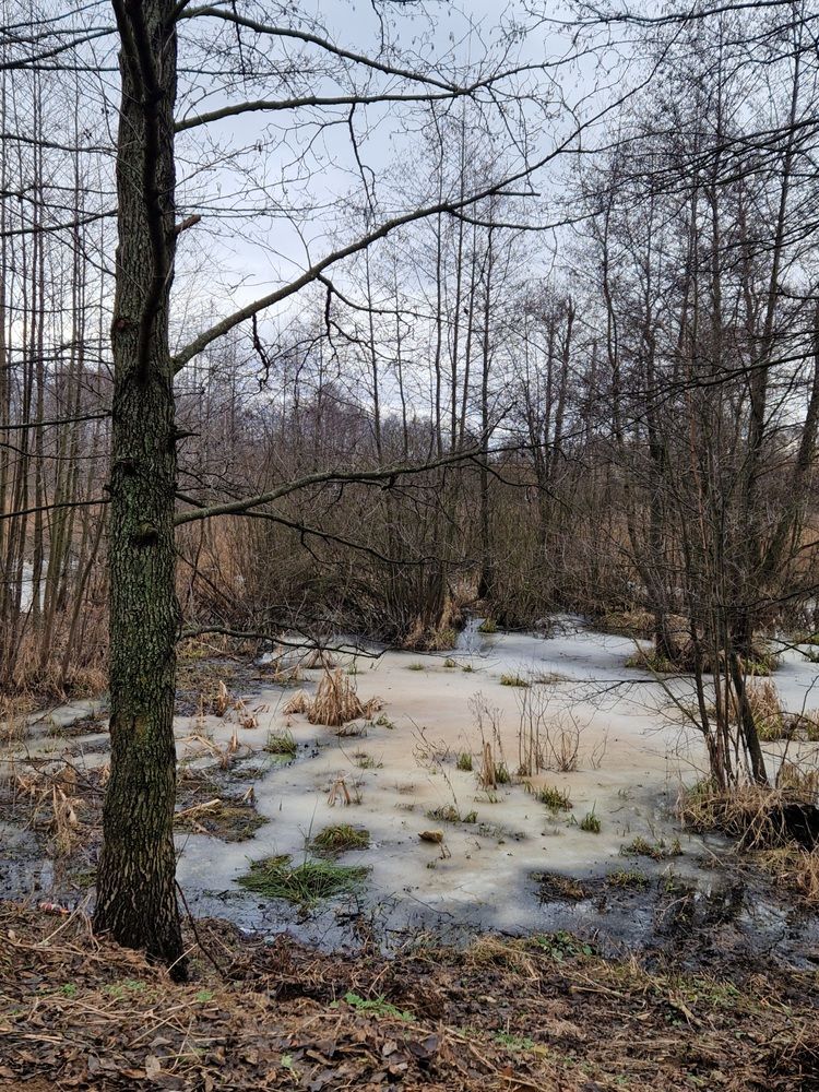 Photograph by Лариса Бурова