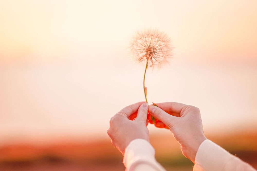 Photograph by Мария Усанина