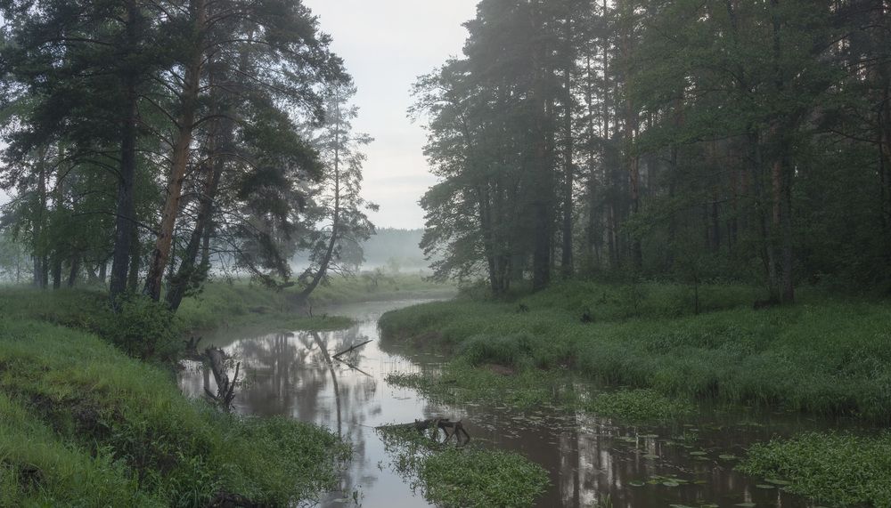 Фотография автора Бонина Ольга