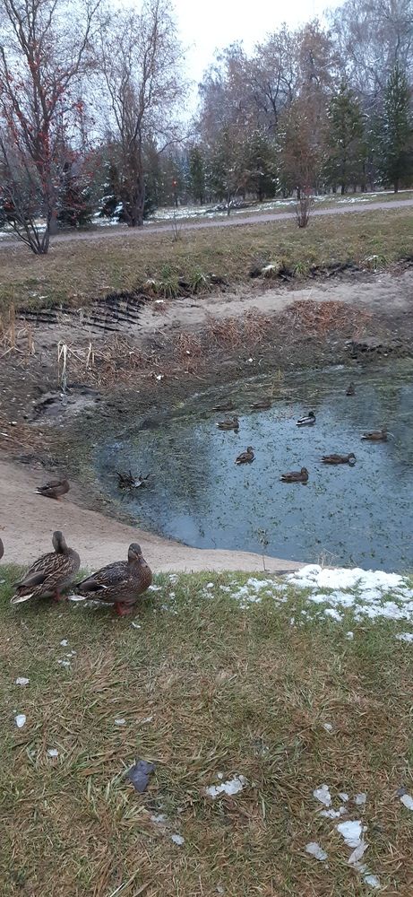 Фотография автора Наталья Шендяпина