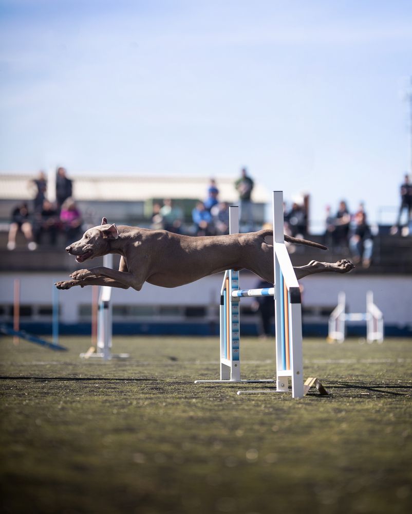 Photograph by Alexandre Marques