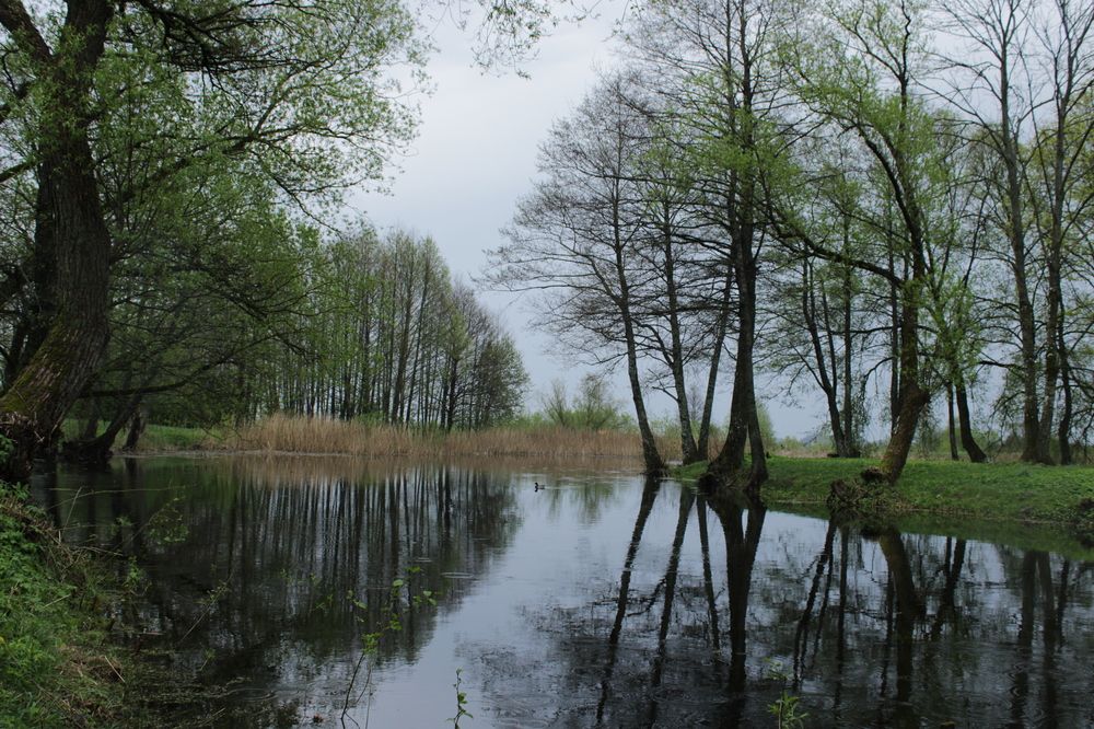 Photograph by Анна Янчилина