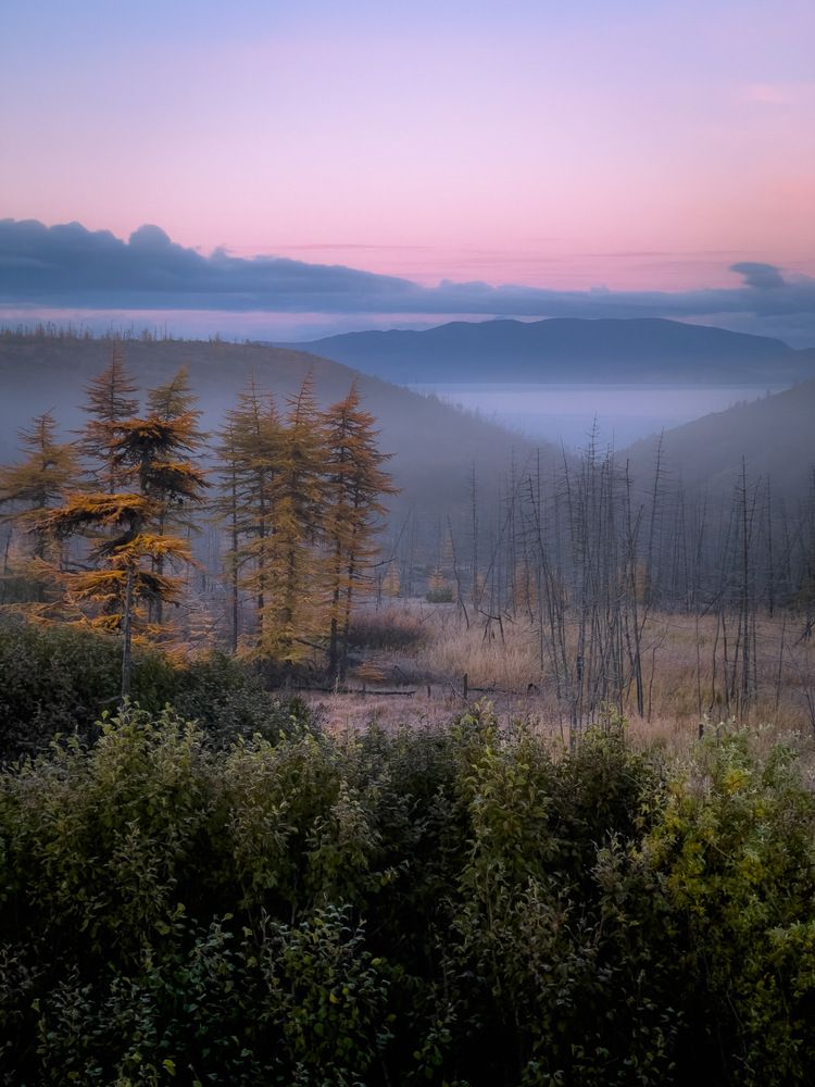 Photograph by Вячеслав Косенков