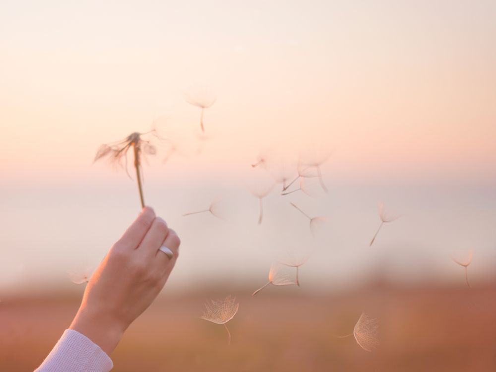 Photograph by Мария Усанина