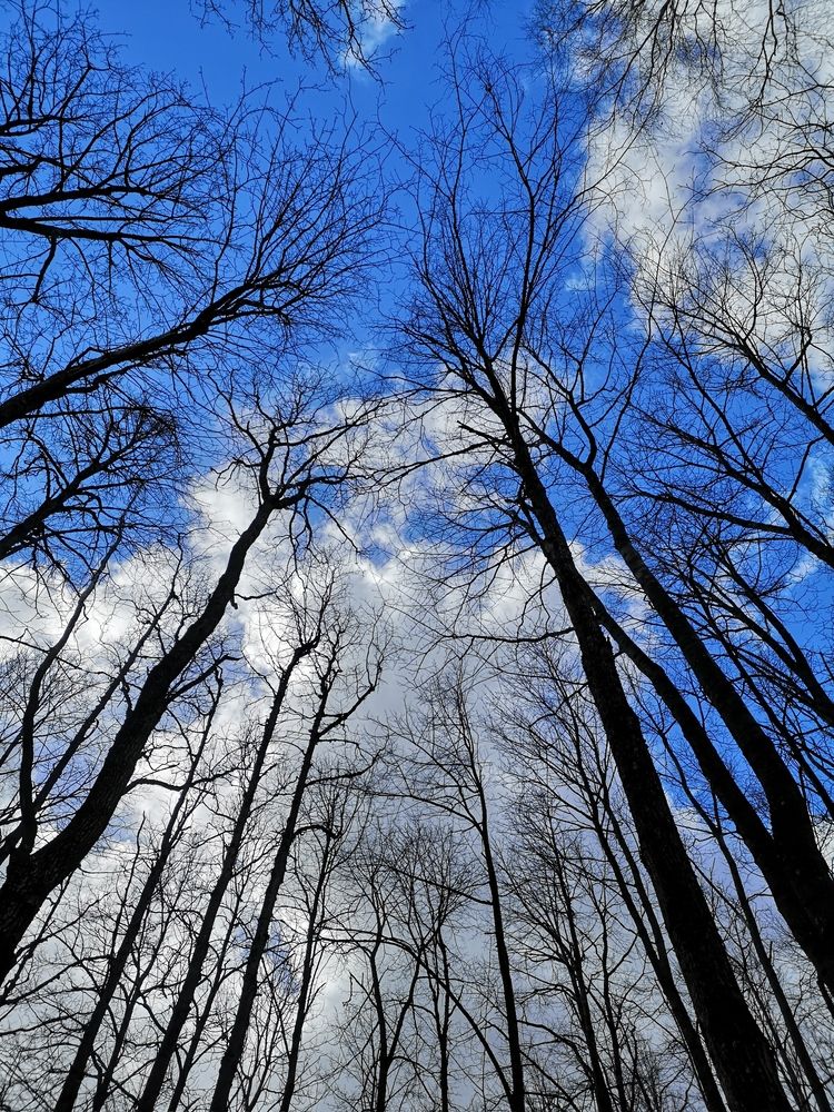 Photograph by София Лысова