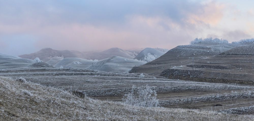 Фотография автора Шипунова Ирина