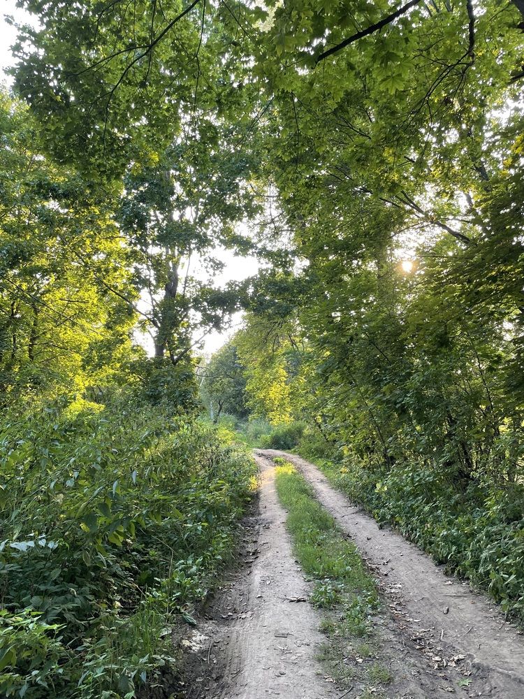 Photograph by Марина