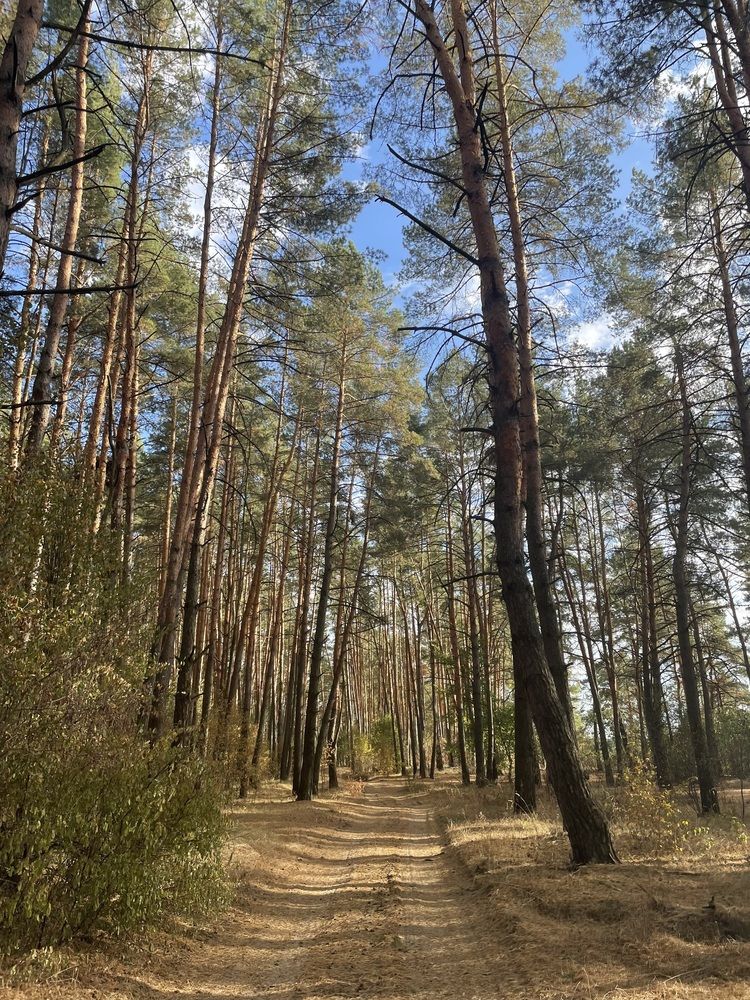 Photograph by Марина