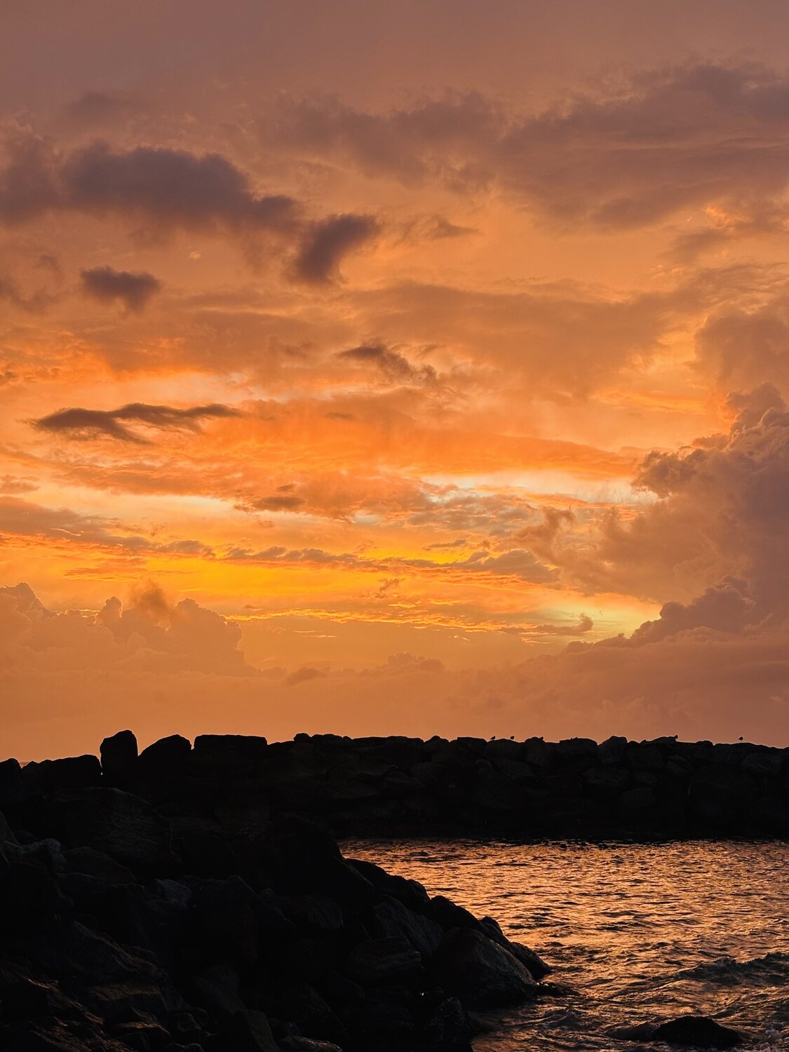 Evening Vibe in Sri Lanka