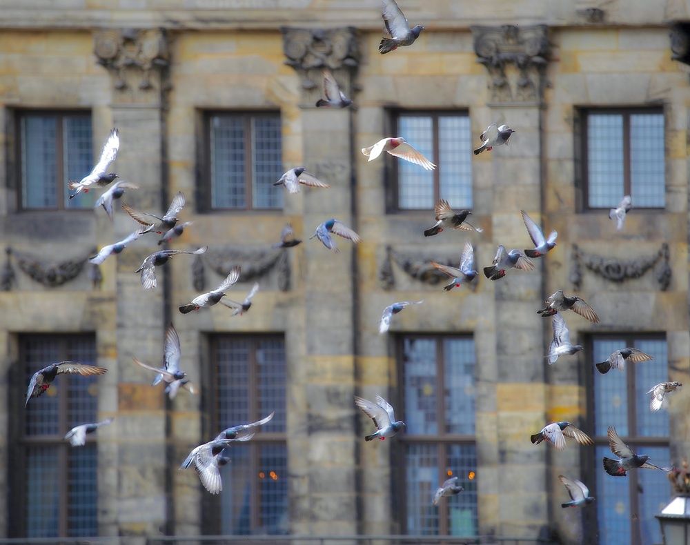 Photograph by Искандар Газизов