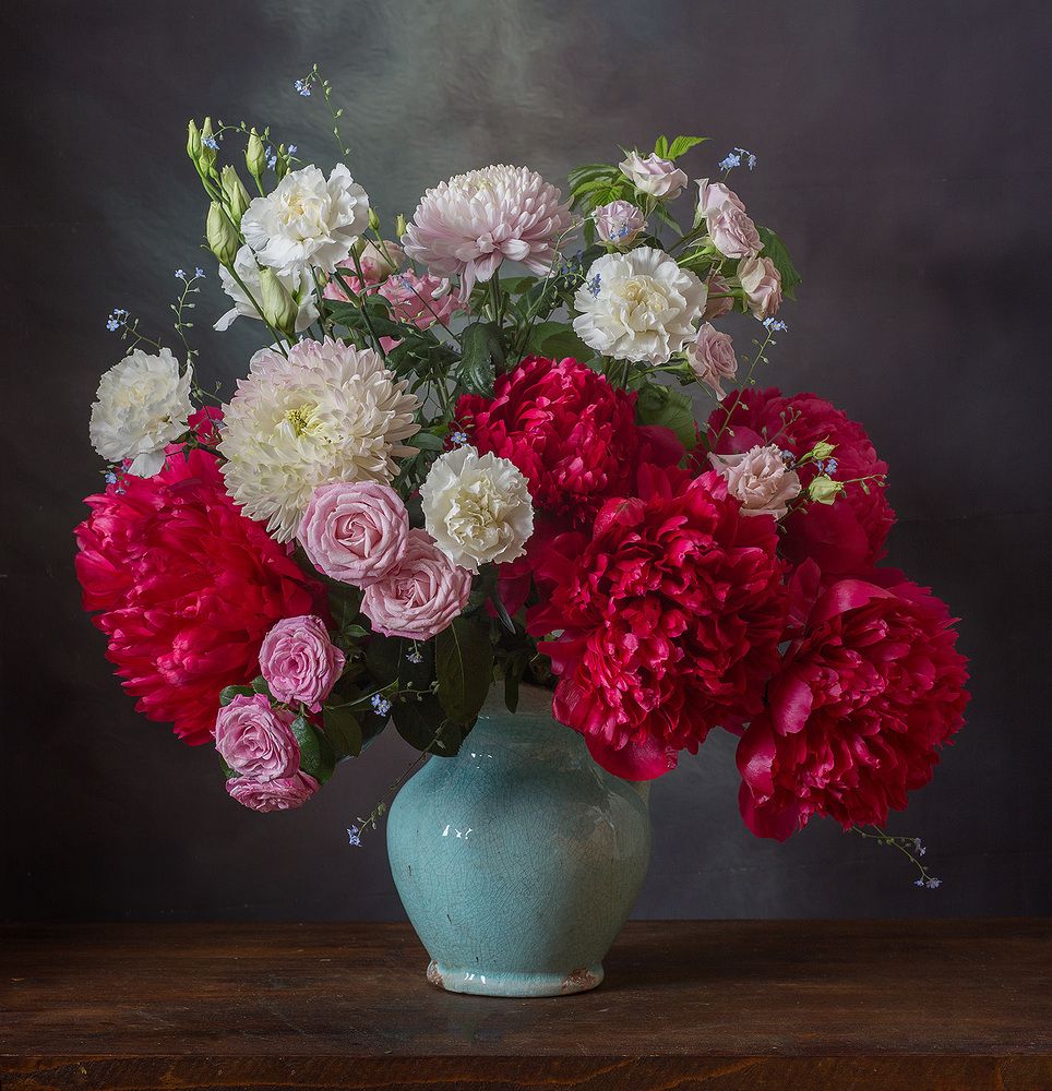 Фотография автора Алина Ланкина