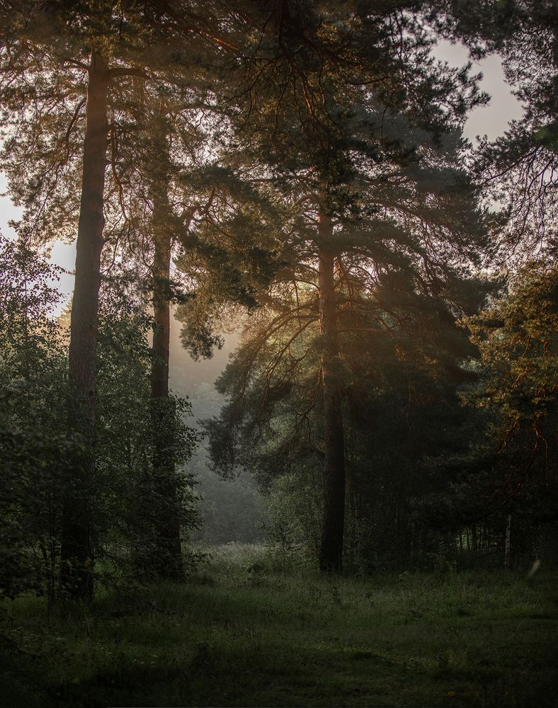 Фотография автора Онучина Юлия