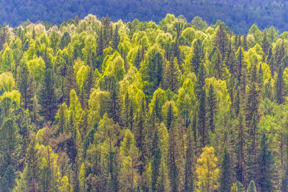 Photograph by Tatyana