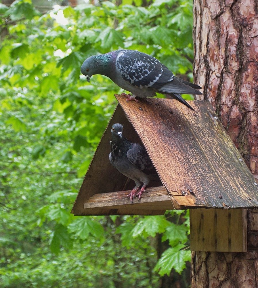 Фотография автора Панюшкин Владислав Владимирович