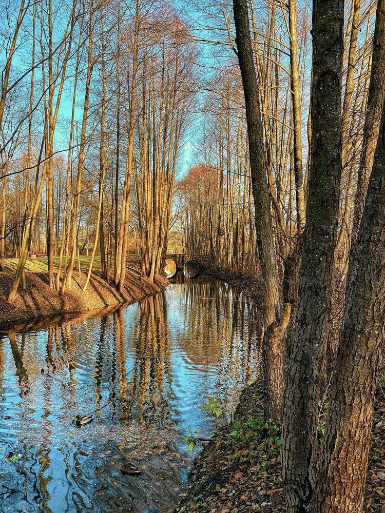 Photograph by Alexey Nuzha