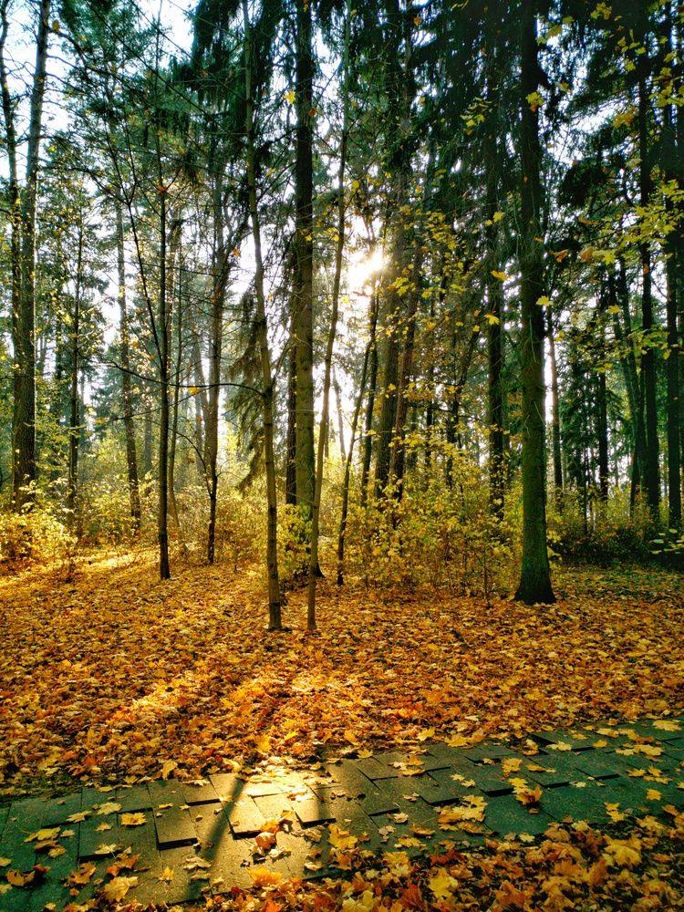 Photograph by Alexey Nuzha